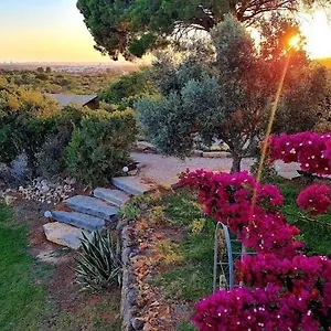 Oasis Camp Portugal Glamping